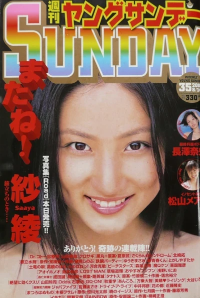 Cover of No. 35, 2008