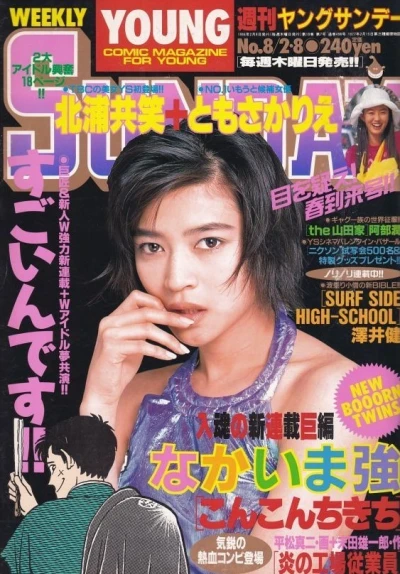 Cover of No. 8, 1996