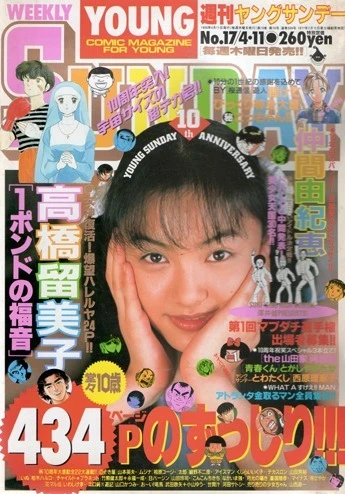 Cover of No. 17, 1996
