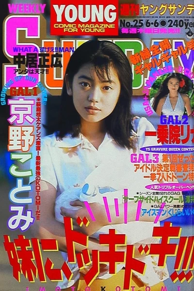 Cover of No. 25, 1996