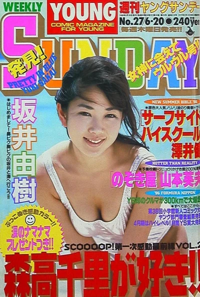 Cover of No. 27, 1996