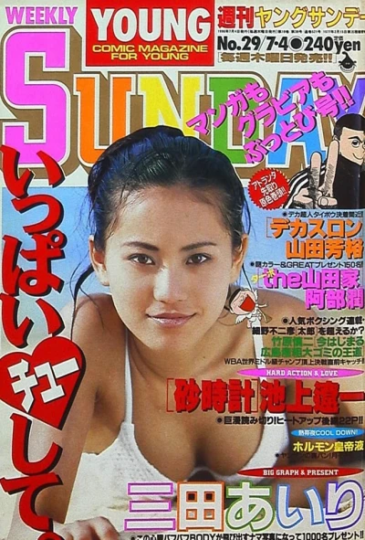 Cover of No. 29, 1996