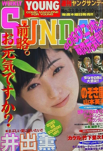 Cover of No. 33, 1996
