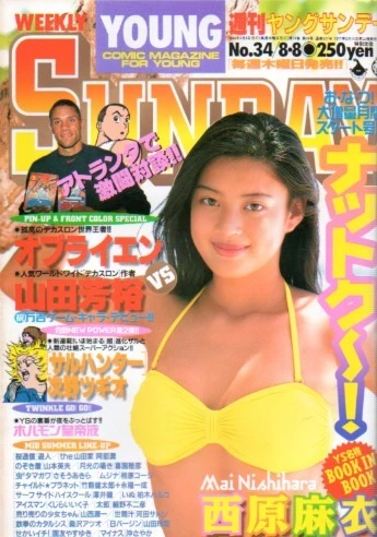 Cover of No. 34, 1996