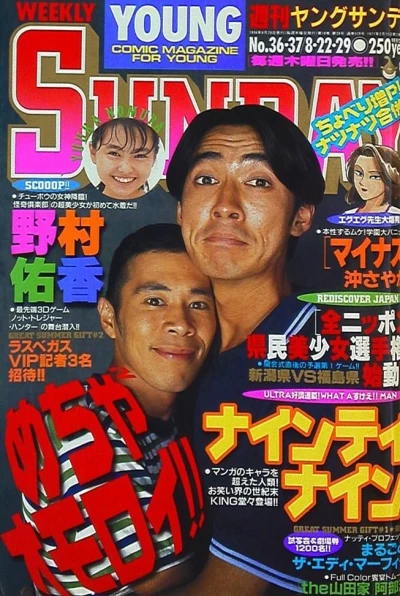 Cover of No. 36-37, 1996