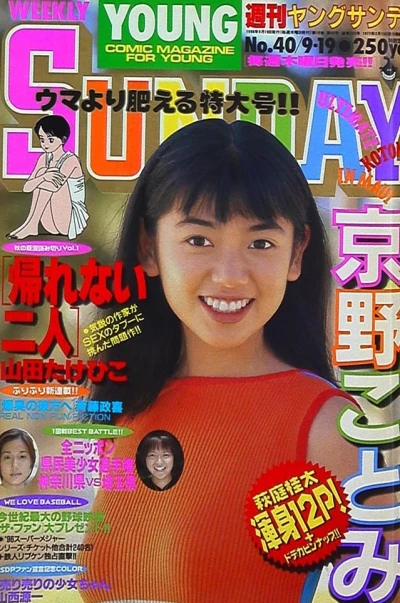 Cover of No. 40, 1996