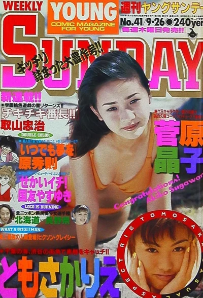 Cover of No. 41, 1996
