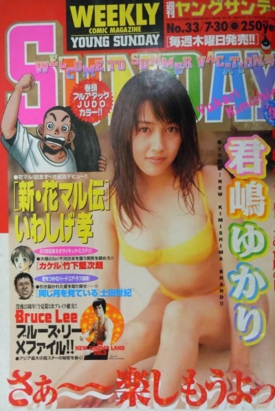 Cover of No. 33, 1998