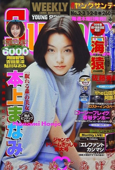 Cover of No. 2-3, 1999