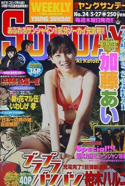 Cover of No. 24, 1999