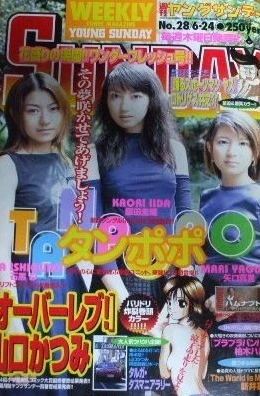 Cover of No. 28, 1999