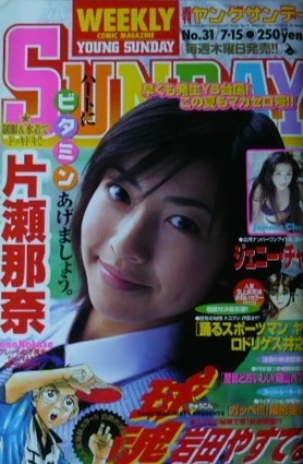 Cover of No. 31, 1999