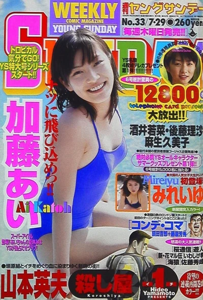 Cover of No. 33, 1999