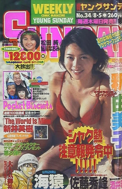 Cover of No. 34, 1999