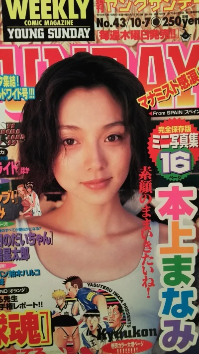Cover of No. 43, 1999