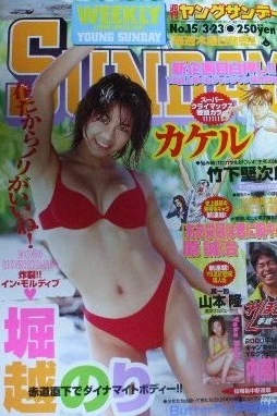 Cover of No. 15, 2000