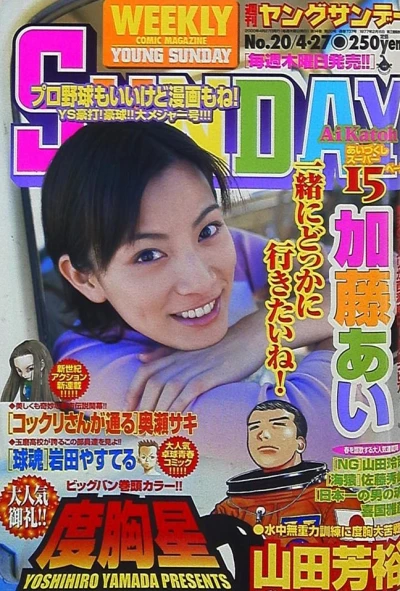 Cover of No. 20, 2000