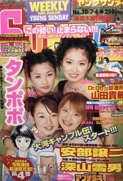 Cover of No. 30, 2000
