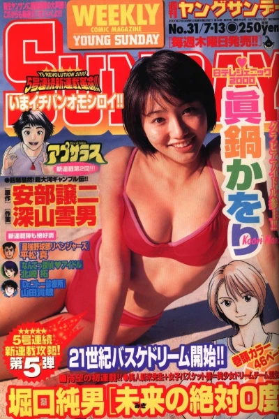 Cover of No. 31, 2000