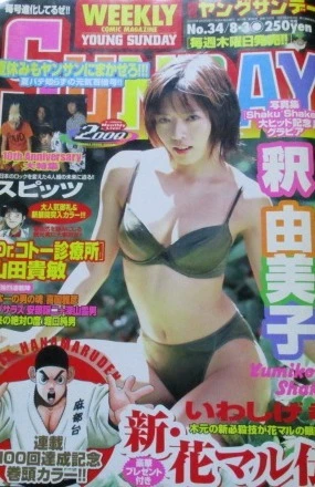 Cover of No. 34, 2000