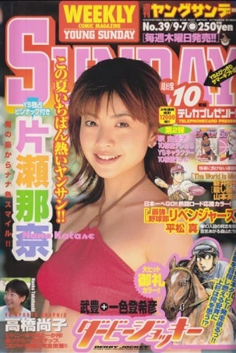 Cover of No. 39, 2000