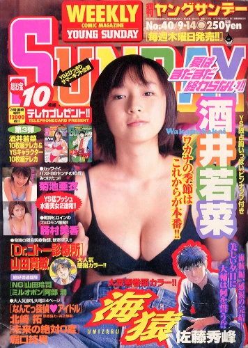 Cover of No. 40, 2000