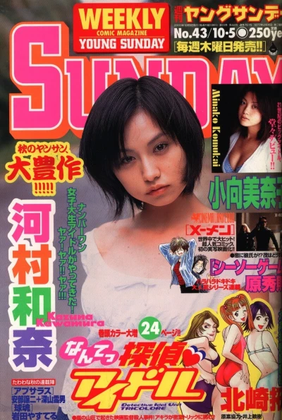 Cover of No. 43, 2000