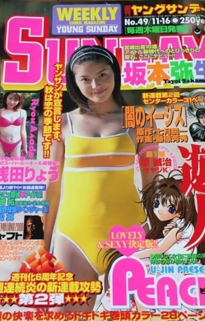 Cover of No. 49, 2000