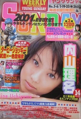 Cover of No. 5-6, 2001