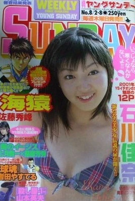 Cover of No. 8, 2001