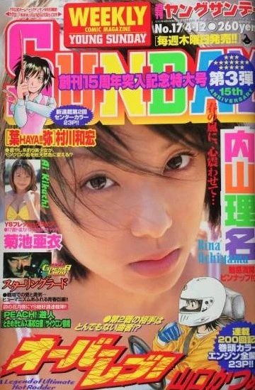 Cover of No. 17, 2001