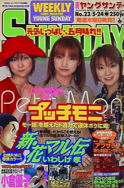 Cover of No. 23, 2001