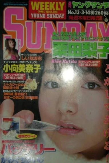 Cover of No. 13, 2002