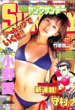 Cover of No. 26, 2002