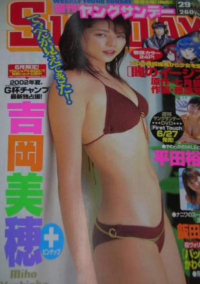 Cover of No. 29, 2002