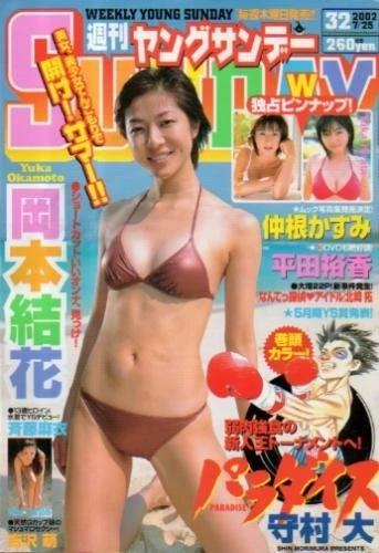 Cover of No. 32, 2002