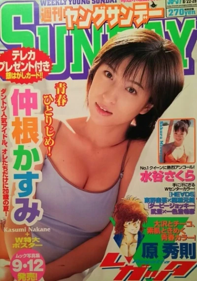 Cover of No. 36-37, 2002