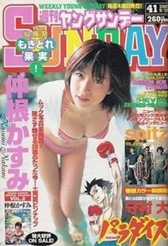 Cover of No. 41, 2002