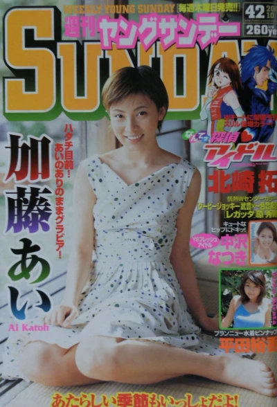 Cover of No. 42, 2002