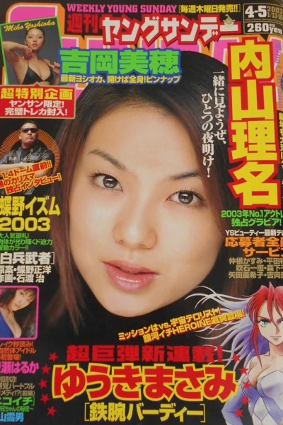 Cover of No. 4-5, 2003