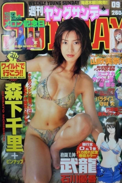 Cover of No. 9, 2003