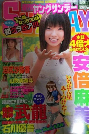 Cover of No. 15, 2003