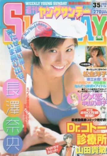 Cover of No. 35, 2003