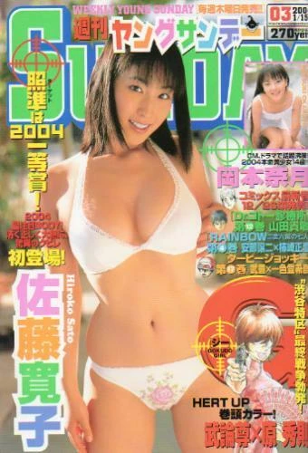 Cover of No. 3, 2004