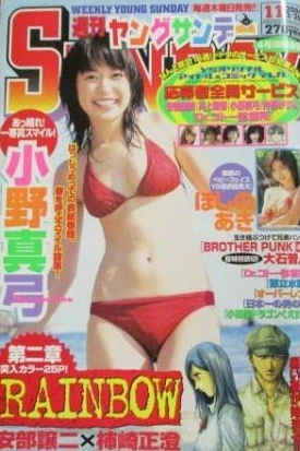 Cover of No. 11, 2004