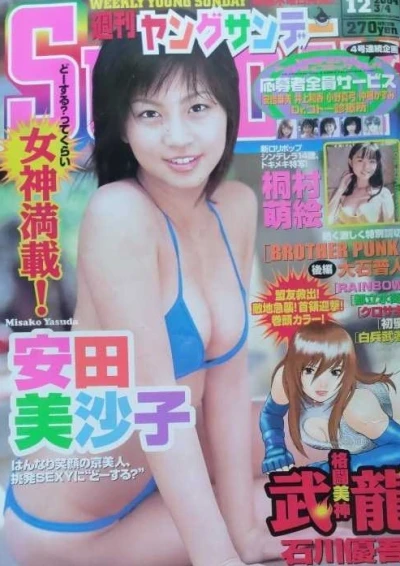 Cover of No. 12, 2004