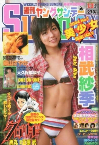 Cover of No. 13, 2004