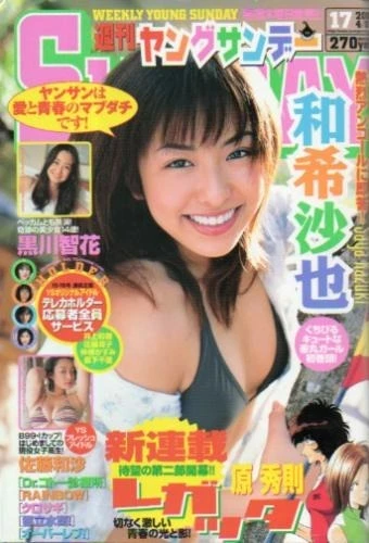 Cover of No. 17, 2004