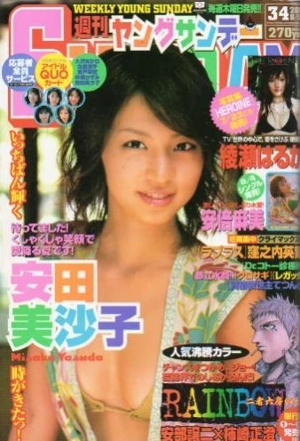 Cover of No. 34, 2004