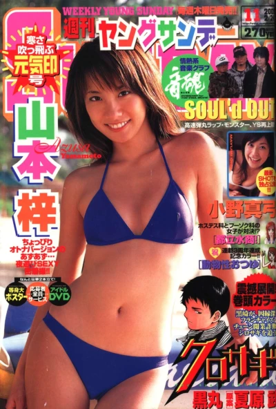 Cover of No. 11, 2005